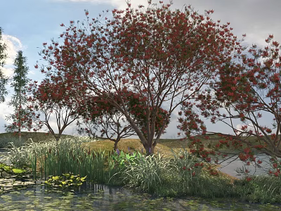 Red Leaved Arbor With Water Pond And Aquatic Plants In Grassland 3d model