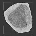 Natural Textured Rock Formation Stone in Grayish Brown Color with Rough Surface
