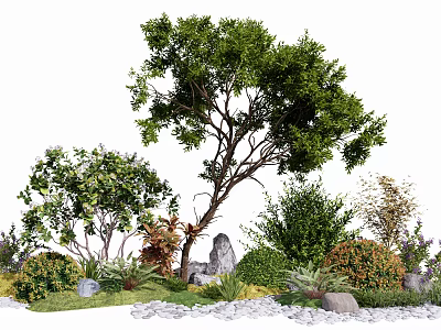 Natural Plant Combination With Trees Shrubs Herbs Green Foliage And Pebble Path 3d model