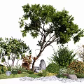 Natural Plant Combination With Trees Shrubs Herbs Green Foliage And Pebble Path