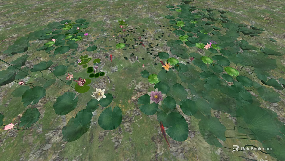 Beautiful Garden Water Feature With Lush Lily Pads And Colorful Lotus Flowers 3d model 