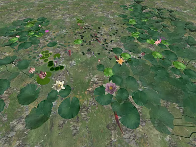 Beautiful Garden Water Feature With Lush Lily Pads And Colorful Lotus Flowers 3d model