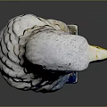 Detailed Blue And White Eagle Head Sculpture With Yellow Beak On Blue Base