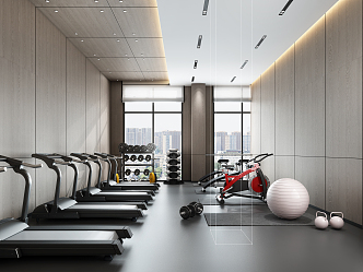 Modern Gym 3d model