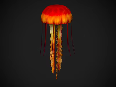 Vibrant Red and Orange Jellyfish with Long Swirling Tentacles in Marine Habitat 3d model