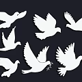 Six White Dove Silhouettes With Olive Branch On Black Background