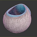 Elegant Round Decorative Vase With Textured Pink White Exterior And Turquoise Interior