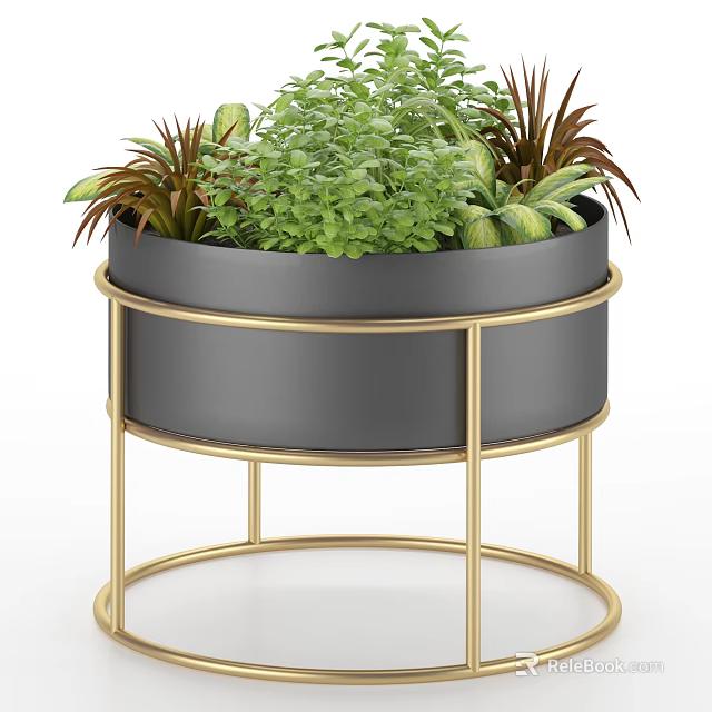 Indoor Bonsai Potted Plant with Black Pot and Golden Stand Featuring Various Green Plants 3d model 