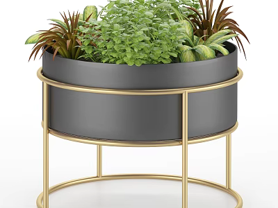 Indoor Bonsai Potted Plant with Black Pot and Golden Stand Featuring Various Green Plants 3d model