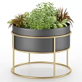 Indoor Bonsai Potted Plant with Black Pot and Golden Stand Featuring Various Green Plants
