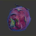 Fresh Ripe Dragon Fruit With Vibrant Pink Skin And Green Leafy Tips On Dark Background