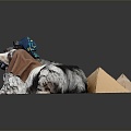 Modern Dog Pet Dog Pet Dog 3d model