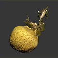 Yellow Citrus Fruit With Rough Surface And Dried Stems On Dark Background 3d model