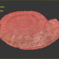 Ancient Ammonite Fossil With Detailed Spiral Texture And Brown White Patterns