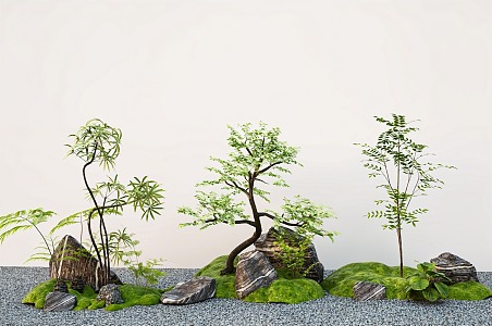 arbor modeling tree fern zen landscape tree stone micro-terrain 3d model