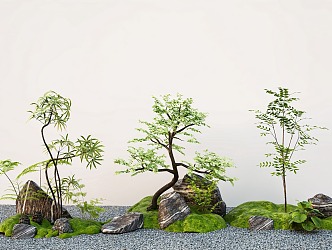 arbor modeling tree fern zen landscape tree stone micro-terrain 3d model