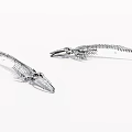 Two Intricate Fish Skeleton Models Showcasing Anatomical Structure on White Background