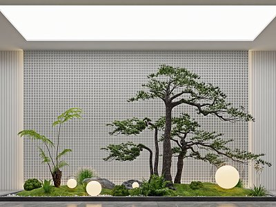 Modern landscape sketch courtyard sketch plant landscaping rockery stone indoor landscape plant pile ferns model