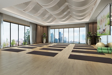 Modern Yoga Studio Yoga Practice Room 3d model