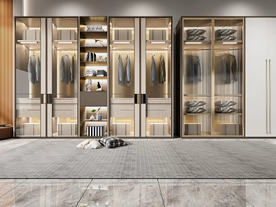 Modern Wardrobe Interior Design With Glass Doors Hanging Rails Shelves And LED Lighting 3d model