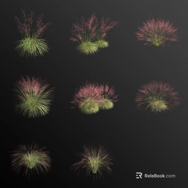 Ornamental Grasses And Pink Flowers In Clumping Foliage For Garden Landscaping 3d model 