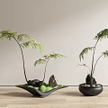 Bonsai Potted Fern Plants With Different Pots On Wooden Floor And Light Wall