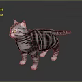 Gray Striped Cat With White Belly Green Eyes And Pink Ears Standing On Smooth Background