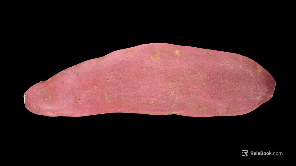 Fresh Pinkish Sweet Potato With Natural Skin And Small Spots 3d model 