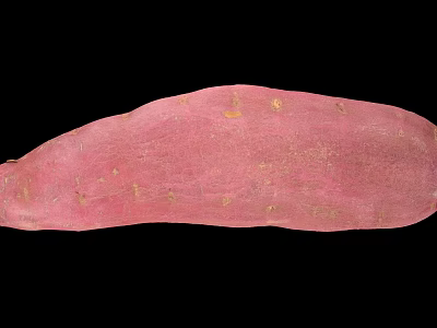 Fresh Pinkish Sweet Potato With Natural Skin And Small Spots 3d model