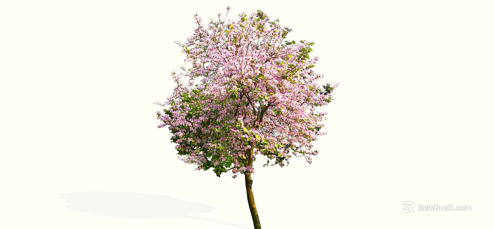 Beautiful Flowering Arbor With Pink Blossoms And Lush Green Leaves In Garden 3d model 