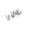 Lush Bamboo Plants with Vibrant Green Leaves and Slender Stems in Multiple Clusters