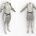 Elaborate Silver And Gold Accented Armor With Armored Sleeves And Leg Protection
