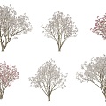 Purple Magnolia Flowering Shrub Arbor Tree Combination Park Courtyard Garden Flowering Trees Purple Magnolia Trees Street Trees Magnolia Xinyi Wooden Pen Girl Flower 3d model