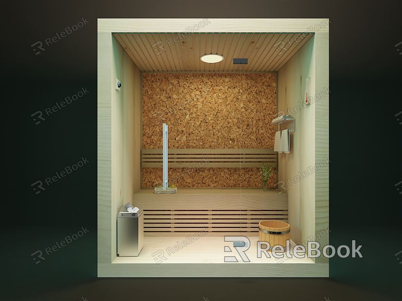 Modern Sauna Room model