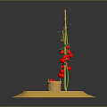 Fresh Red Tomato Fruits Growing On Green Vine With Basket On Yellow Base