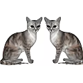 Two Gray And White Tabby Cats Sitting Together Looking At Camera 3d model