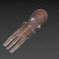 Realistic Brown Squid With Long Tentacles As Marine Aquatic Animal
