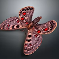 Detailed Vibrant Butterfly With Dark Colored Wings Red Spots Black Dots And Orange Borders