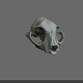 Detailed Animal Skull Structure With Hollow Eye Sockets And Nasal Cavity