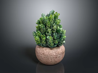 Green Potted Plant with Lush Foliage in Brown Stone Pot on Dark Background 3d model