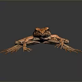 Frog Poison Frog Game Frog Reptile Cold Blooded Animal Reptile 3d model