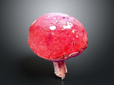 Vibrant Red Mushroom Plant with White Spots on Surface and Dark Background 3d model