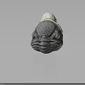 Gray Organ With Eyes And Hair Structure Featuring White Top And Textured Surface