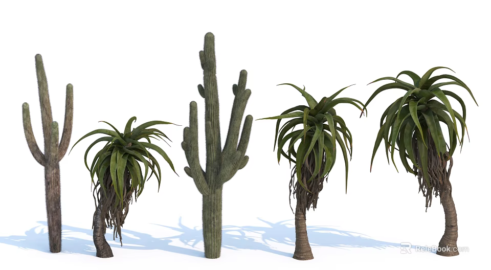 Tall Cactus Aloe Vera And Leafy Palm Trees Decorative Plant Combination For Landscape 3d model 