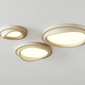 Modern Ceiling Lights With Various Colors And Circular Shapes 3d model