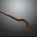 Brown and Orange Patterned Snake Slithering on Gray Background with Reflective Surface 3d model
