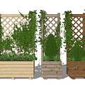 Garden Decor with Wooden Planters Trellis Climbing Vines and Green Plants