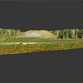 3D Landscape Model With Grassland Trees Circular Clearing And Yellow Flowers
