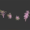 Four Different Green Plants on White Smooth Surface with White Background