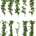Lush Green Hanging Vines for Indoor Outdoor Wall Decoration Ideas